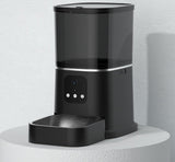 Pet Automatic Feeder Large Capacity Smart Voice Recorder APP Control Timer Feeding Cat Dog Food Dispenser With WiFi Pet Bo