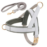 Personalized Dog Harness Leash Set