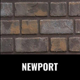 Napoleon Oakville X3/X4 Direct Vent Electronic Ignition Natural Gas Fireplace Insert [GDIX3N/4N-1] (SAK21347)