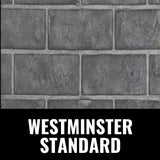 Napoleon Oakville X3/X4 Direct Vent Electronic Ignition Natural Gas Fireplace Insert [GDIX3N/4N-1] (SAK21347)