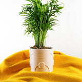 Deep Space Planter