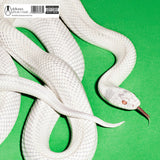Private Music (Clear Vinyl) [Vinyl]