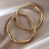 Delicate Silky Texture Design Women's Earrings