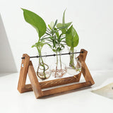 Desktop Glass Bulb Planter