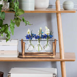Desktop Glass Bulb Planter