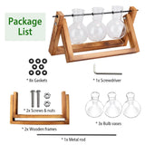 Desktop Glass Bulb Planter
