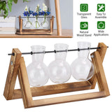 Desktop Glass Bulb Planter