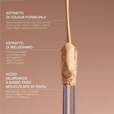 Diego Dalla Palma It's A Filter Concealer 137 W