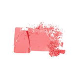 Diego Dalla Palma Powder Blush 24 for Silky Cheeks