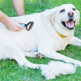 Dog and Cats 2 Sided Grooming Rakes
