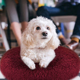 Dog Cozy Nest Sofa Bed Cushion