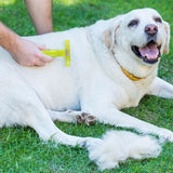Dog Grooming Brush Comb Pet Hair Remover