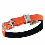 Doggie Comfort Woven Orange Dog Collar Small 2 x 30-35 cm
