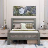 Platform Bed with Two Storage Drawers