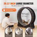 VEVOR Wooden Cat Exercise Wheel, 43.3" Large Cat Treadmill Wheel for Indoor Cats, Cat Running Wheel with Detachable Carpet & Cat Teaser for Running/Walking/Training, Suitable for Most Cats Black