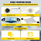 VEVOR Analytical Balance, 5000g x 0.01g Accuracy Lab Scale, High Precision Electronic Analytical Balance, 13 Units Conversion, Counting Function, LCD Display, for Lab University Jewelry