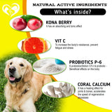 Dog Anti Itch Allergy Relief Chews Dry Itchy Skin Hot Spot Treatment with Probiotic Omega 3 Oil Immune Supplement Seasonal Allergies Medicine for Dogs Puppy 140 Bites