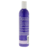 Shiny Silver Ultra Conditioning Shampoo by One n Only for Unisex - 12 oz Shampoo