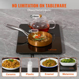 VEVOR Electric Warming Tray, 16.5" x 11" Portable Tempered Glass Heating Tray with Temperature Range (65-90 Celsius), Perfect for Dinner, Catering, Parties, Events, Entertaining and Holiday, Black