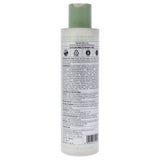 Shampoo - Amla and Curry Leaves