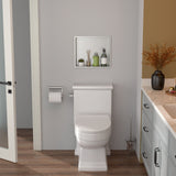 Brushed Stainless Steel Wall Shower  Niche , Double Recessed Shower Shelf for Bathroom