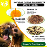 Dog Anti Itch Allergy Relief Chews Dry Itchy Skin Hot Spot Treatment with Probiotic Omega 3 Oil Immune Supplement Seasonal Allergies Medicine for Dogs Puppy 140 Bites