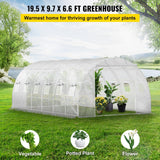VEVOR 20 x 10 x 7 ft Walk-in Tunnel Greenhouse, Portable Plant Hot House with Galvanized Steel Hoops, 3 Top Beams, Diagonal Poles, 2 Zippered Doors & 12 Roll-up Windows, White
