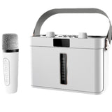 Outdoor Bluetooth Speaker Karaoke Double Microphone Classroom Teaching Meeting Party