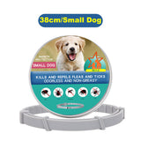 Flea-repellent Collar For Pets