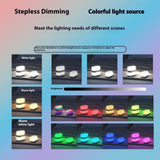 Creative Magnetic Ambience Light Charging Outdoor Couple