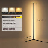 Warm White Tricolor Floor Lamp Adjustable