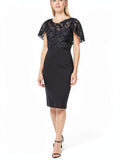Ralph Lauren Embroidered Petal Sleeve Jewel Neck Sheath Dress, Size 8P