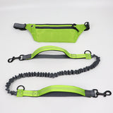 Dog collar without hands