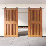 Vertical Slat Double Door Barn Door Kit | Black Barn Door Hardware