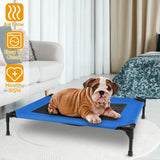 Elevated Dog Cot Bed