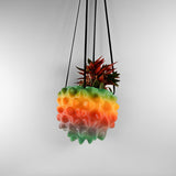 The Creature Orb Hanging Planter Pot With Drainage