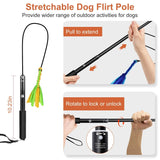 Extendable Dog Flirt Pole with 2 Replaceable Interactive Tail Toys