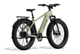 Aventon Aventure.3 E-Bike Step-Over