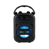 Outdoor Desktop Universal Bluetooth Card-reader USB Drive Radio Microphone Singing Wireless Speaker