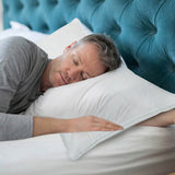 Fiber Filled Down Alternative Pillow