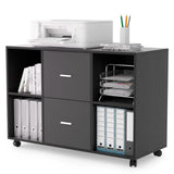 File Cabinet 2 Drawers Wooden Lateral Filling Cabinet