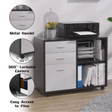 File Cabinet for Home Office