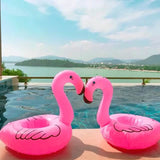 Flamingo Party Floating Sparkling Drink Cup