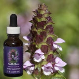 Flower Essence Services Benediction Forte Roll On 1oz