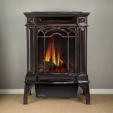 Napoleon Arlington 20 19-Inch Cast Iron Millivolt Ignition Majolica Brown Natural Gas Stove [GDS20NNSB] (SAK43798)