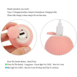 Found Notice Smart Interactive Cat Toy