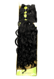 FreeTress Equal Synthetic Hair Weave Appeal Curl 4Pcs + CLOSURE