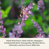 Gaia Herbs Adrenal Health Daily Support -120 Liquid Phyto-Capsules