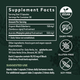 Gaia Herbs Black Elderberry - Daily Immune Support Supplement to Help Maintain Well-Being - with Black Elderberries and Acerola Fruit for Antioxidant Support - 60 Vegan Capsules (30-Day Supply)