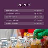 Gaia Herbs Black Elderberry Syrup Adult Daily - Immune Support Supplement - 3 Fl Oz (9-Day Supply)